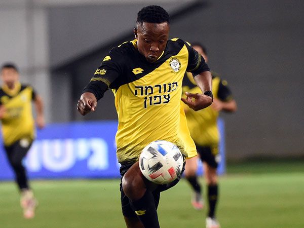 (ברני ארדוב)