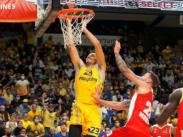 ז'יז'יץ' שלט על הצבע (אלן שיבר)