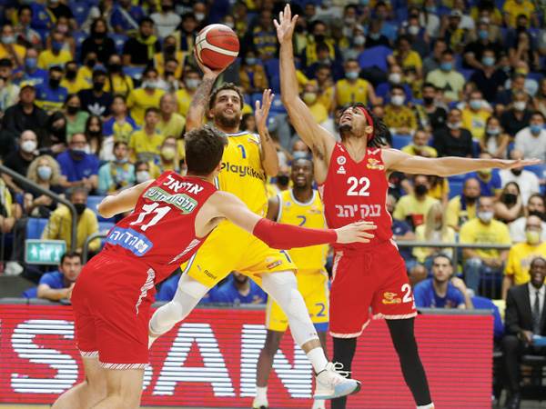 המאבק נמשך (אלן שיבר)