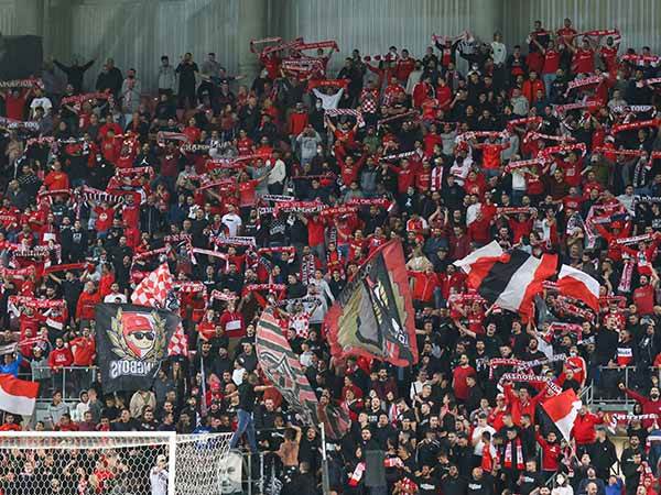 (צילום: דני מרון)