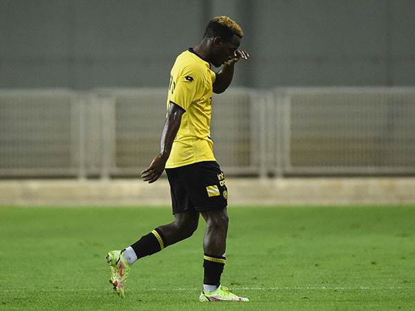 (ברני ארדוב)