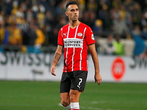 זהבי. יכבוש בבלומפילד? (אלן שיבר)