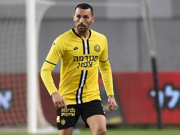 (ברני ארדוב)