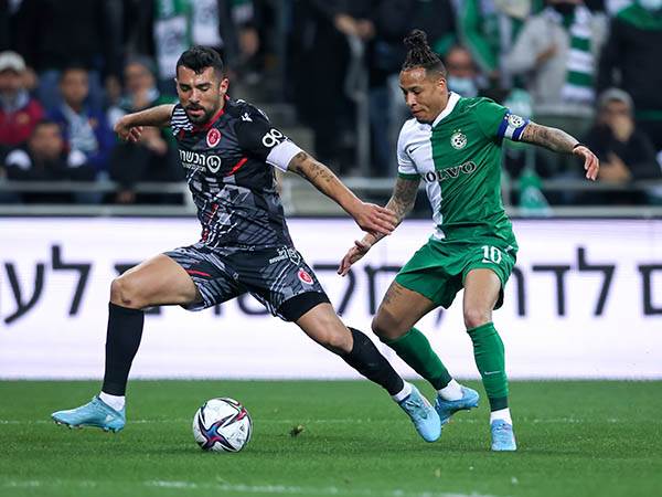 (מאור אלקסלסי)