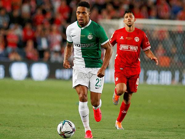 "ישראל מדינה מדהימה" (אלן שיבר)