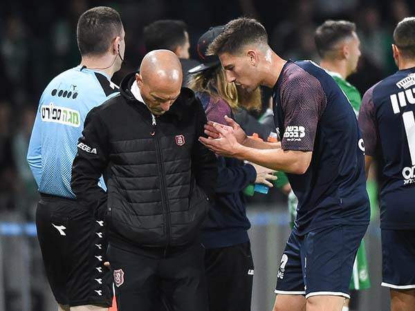 אריה עצבני (ברני ארדוב)