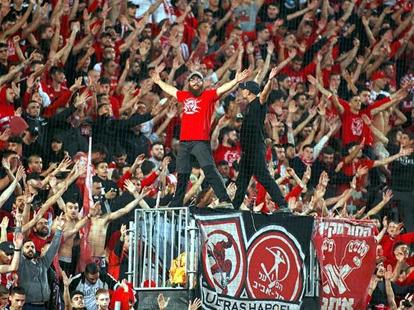 "אי אפשר היה להתעלם מעוצמות הקהל" (אלן שיבר)