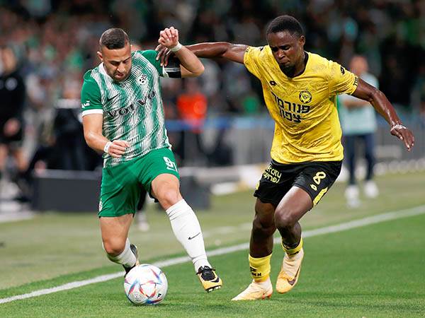 (ברני ארדוב)