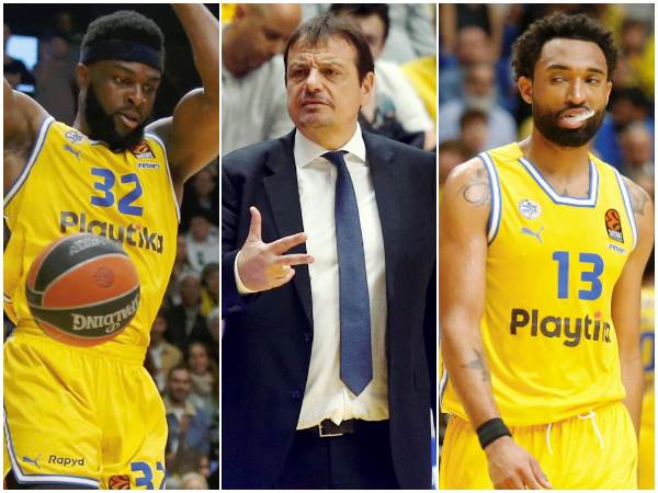 פרויקט שאפתני (צילום: אלן שיבר)