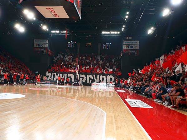 יוגדל תוך שלוש שנים? (אלן שיבר)