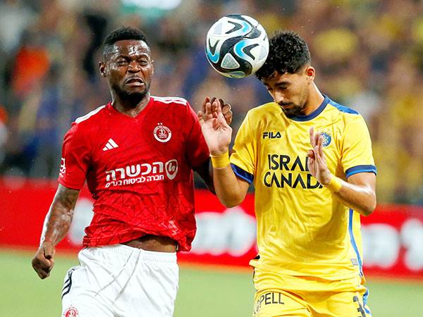 רביבו. מרחק נגיעה (אלן שיבר)