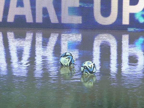 כך היה נראה כר הדשא