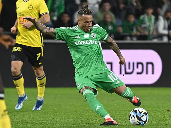 (צילום: אלן שיבר)