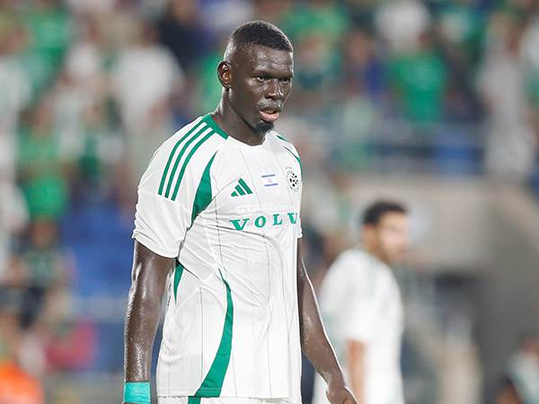 צפוי לפתוח. סק (אלן שיבר)