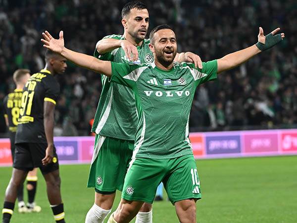 (ברני ארדוב)