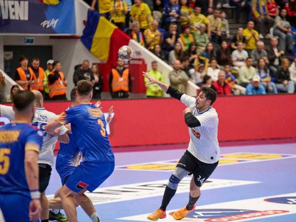 (סורין פנה, איגוד הכדוריד)