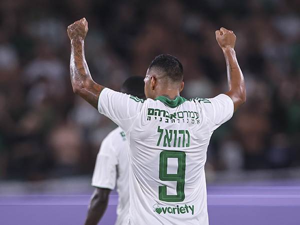 (מאור אלקסלסי)