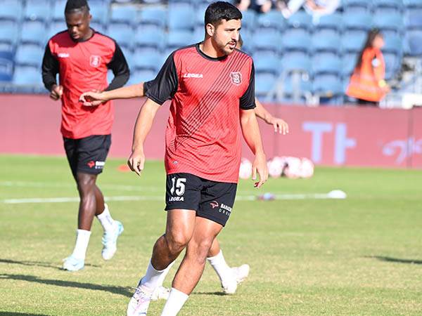 (ברני ארדוב)