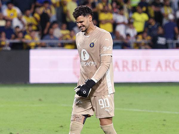 (צילום: אלן שיבר)