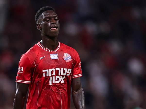 (מאור אלקסלסי)