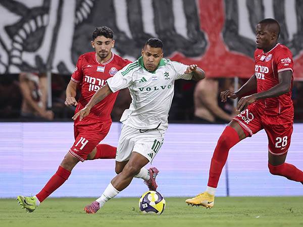 (מאור אלקסלסי)