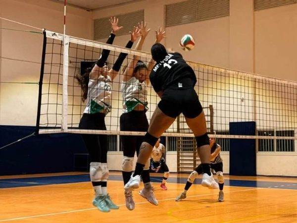 (איגוד הכדורעף)