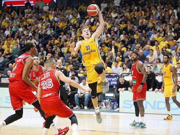 (צילום: אלן שיבר)