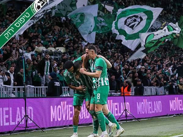 (מאור אלקסלסי)