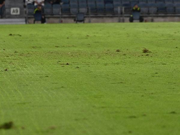 (צילום: ברני ארדוב)