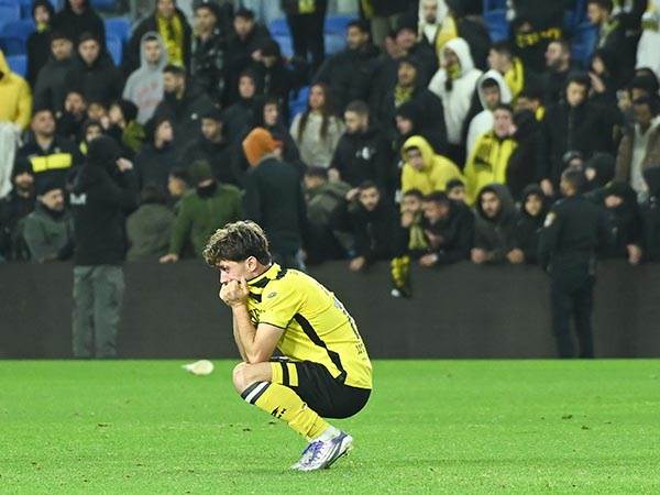 (ברני ארדוב)