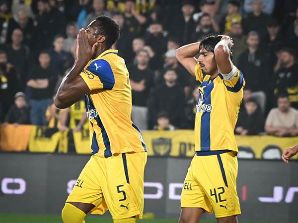 (ברני ארדוב)