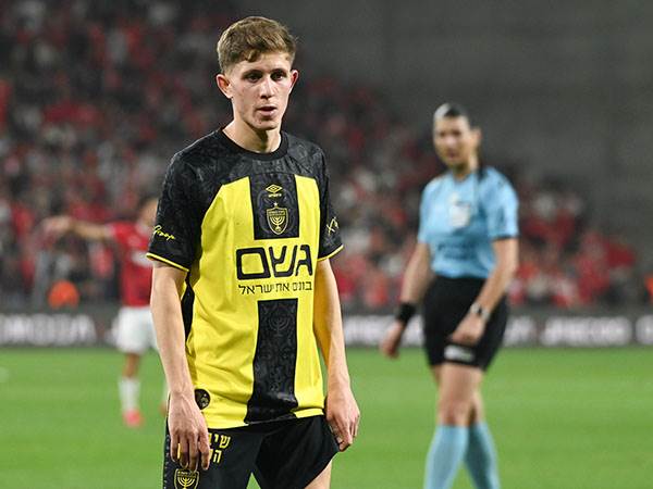 (ברני ארדוב)