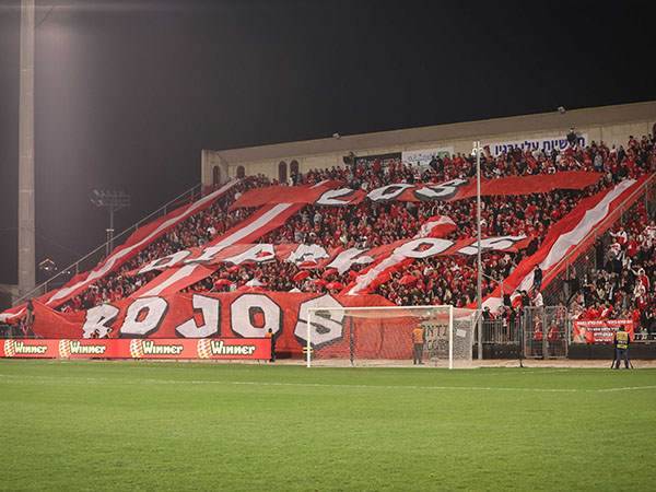 (צילום: מאור אלקסלסי)