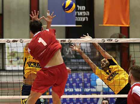 שלטה ללא עוררין. מטה אשר (אלן שיבר)