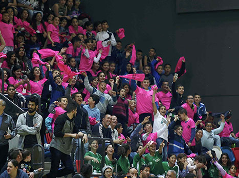 חגיגה בדרייב אין (אלן שיבר)