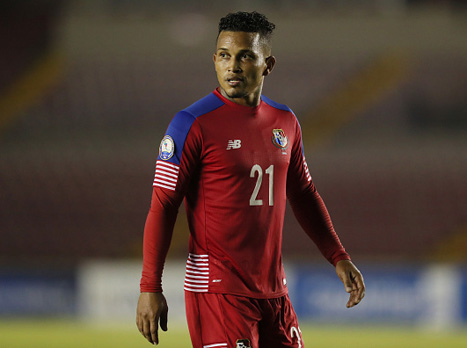 הספיק לערוך 75 הופעות במדי הנבחרת. הנריקס (getty)