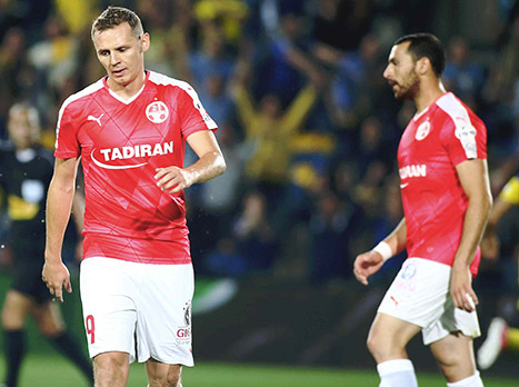 האלופה המשיכה להאמין (אלן שיבר)