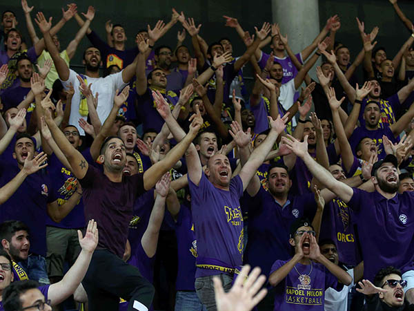 הקהל הסגול נותן קונטרה לאדומים (אלן שיבר)