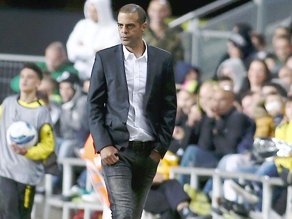 מרוצה מהמחוייבות. לוזון (אלן שיבר)