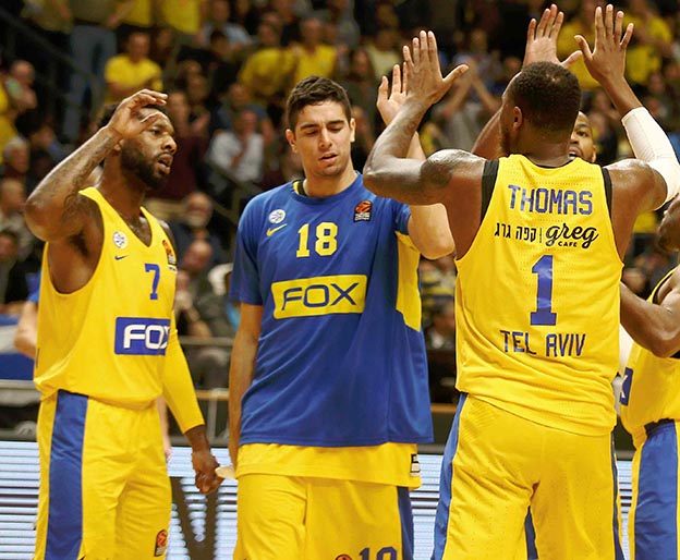 הצהובים שמרו על הבית (אלן שיבר)