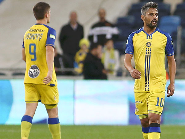 יישארו עם תואר אחד? (אלן שיבר)