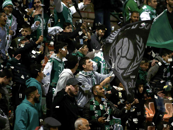 חולמים על הפתעת ענק בטדי. אוהדי כפ