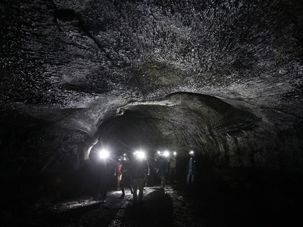 קלסטרופובים? (Getty)
