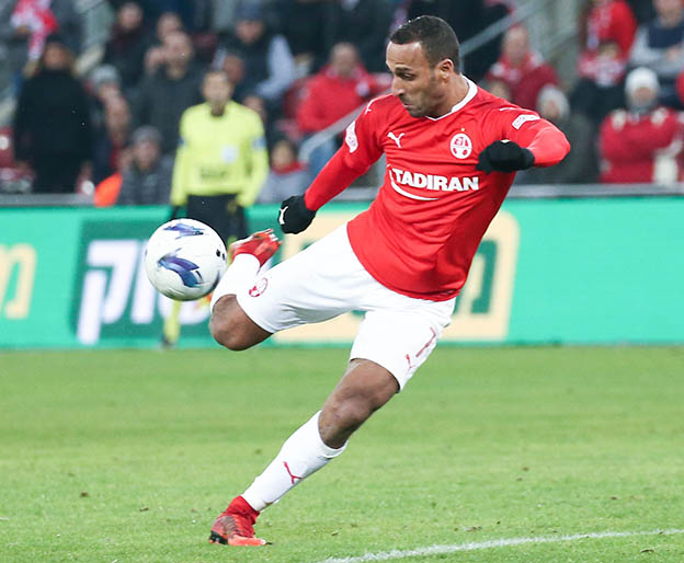 ראדי בכוננות הרכב