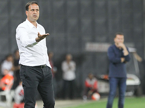 רוני לוי. הנסיון מעבר לים יעזור? (דני מרון)