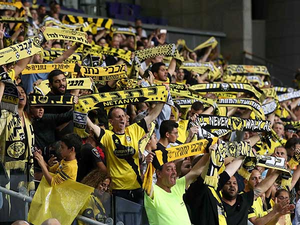 הקהל חלוק בדעתו (אלן שיבר)