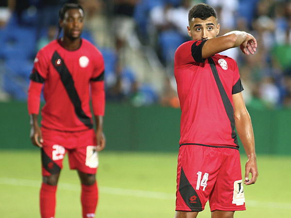 ההכנות לא אידיאליות (אלן שיבר)