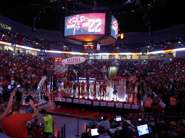 הארנה. גרמה לתחושת ריחוק אצל האוהדים (אלן שיבר)