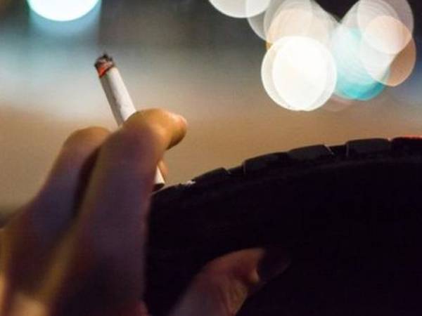 (צילום: יצרן)