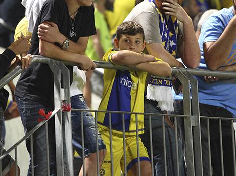 הקהל הצהוב. יחזור הביתה? (אלן שיבר)